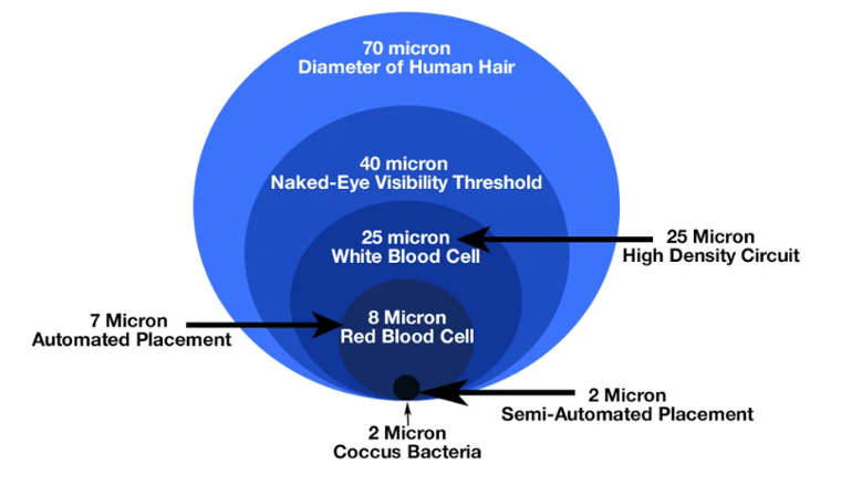 Particle Size Comparison – From Hair to Bacteria 